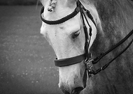 2024-04-22/00622285fe46d8ed99d2e3a900bd1e73_7a00c8fb8c7c66162545cccd442792d1