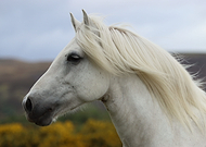 2024-04-22/3e55d306ae7104ed9f138099e49dc0f2_f3c0c4e4ea641490c86ce44890e50e36