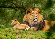 2024-05-01/2dc363a15b26ff51d6d6c8ae44021be7_d51e0374f239a46dd5fd1d3f98690204