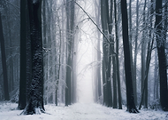 2024-05-05/44d3b4d199d1d8ff41952161198e2747_b272f310b6a132fcc3a6f0f95cc2a824