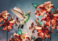 2024-05-14/0a56849fc09fb7246a1cd1229c9204e9_ea4f253f9497b7a9ed2dc2a2676b3324