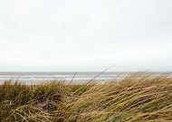 2024-05-22/77d4188fb64ea3091bfd0bf143ca9a90_81d69414e0b2aaae4a63f44ce9dde1f0