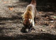 2024-05-23/21d09ae2d8c03151296abe512bea1125_f1823458edff342b677be92dc5e55344