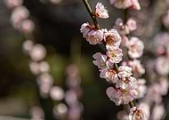 2024-05-25/c04155c59aed2880eaec80fb6bfb6773_9fa3544b3c7fe90a5bf5f6a3ac47ea2d