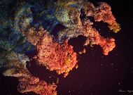 2024-05-31/67c4ea77e4747376f4380edd270b9f1c_7414388757ff9dbe2533828ac6f4226c