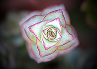 2024-06-06/bd8aec504c918a737740d19f478966f3_2733cc6f0924a3ae42f796bf8e0d599e