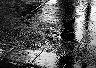 2024-06-12/798b2faae87fe138b0ee3398827d8968_9db40b49e22b1f97fc5fe94508e74ca4