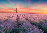 2024-06-16/1290d893fa2b3215b00ce670b8781fd8_765e3cd8486d74c29b32990a984add88