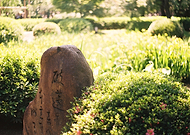 2024-06-20/df193aceab3e7df981f52b8f36e217c4_af557b7fb5f496921bdccbba71a84e64