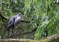 2024-06-23/d0fba353794459ed28fbd92648584947_e608570a50cdcfedd37ac1ccdd578917