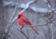 2024-06-27/1cc3310659198dd8a169903a52749b87_9145d35fee05ca1c660ce5307e630ef9