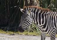 2024-07-03/8c78203e9db4622fd591f94865daa777_690dc94416c3fd417b486590482f8659