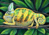 2024-07-18/8a7d4e23859cdb37039eac3bc8e1dcad_37fe4d613b40adf3a7417b1221cf7002