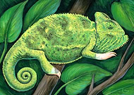 2024-07-19/25c110cb772e5cbf1efa54211d05fb28_ca05bdc2d4f1345f746d4ae21f9cdc22