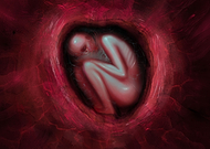 2024-07-27/ba3fb905ec476242d9a245a077015811_4d4798c1ca280863c8e5d6e50c95f983