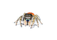 2024-07-27/d26e11bcc000b9dacb351aa88e3d50fc_3dff264b6ebcda9b82c945489bf92988