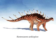 2024-07-29/e0abe699ad99873340fb255a8e68316b_e8412d22faa5142f28d6435792c304bc