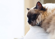 2024-08-04/96b57f43b108dc70a09a9465e343e40e_7f6e0fbc96a3ce69d8432744edfb54c2