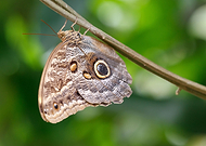 2024-08-08/8f93953b3893ae82e7ab334dd96a24d3_17dcaac468dfab5e1db7ed6fb53fb076