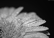 2024-08-17/c2d36b04bd491f35f298f162c641cdf0_56e1d171c3a1346be5f50d0b5b9eaa10