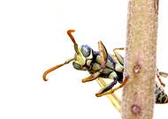 2024-08-21/9d7d0ff1ced0f808f49ffac64a8a806d_fea69fd726a56ee0ded76a4b6697a2a5