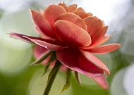 2024-08-23/3c9edcedf24286a680b12c8b9d2776a4_7c502d529aa63aa60be5b218fcbdaf4d