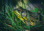 2024-08-31/317d76e967095ba0e92e02e946908b9e_f811311664da5d4a758ff0443fef79f6