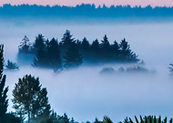 2024-09-01/d5ec08e70faa852003558cf18b6daffe_6986dc7cd58f696780ea2b4fa8bc3e46