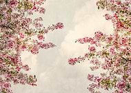 2024-09-05/a5705607-4e8f-44a9-9866-6a29c92e40d9