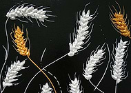 2024-09-07/4adfe741-b6b6-44fd-8829-f94d3a7d9f8d