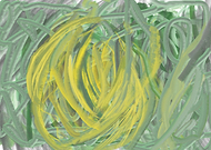 2024-09-09/375e8ec1b0dbb278354218ab1e7471f1_be4d8e4fbb9f717f005b80f692de6803