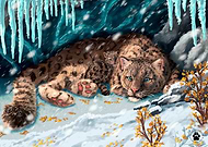 2024-09-16/3609cf95-0074-4d66-9647-104f9906b649