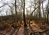 2024-09-29/759f1fc5-b05b-4732-8ce7-a590260db716