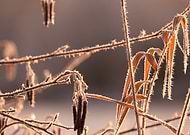 2024-09-29/935d7e02-988e-4cf2-9c74-30953e0b8959