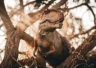 2024-09-29/a4fff4a0-5aa5-4d34-b069-b312b47231f6