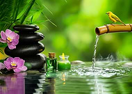 2024-09-30/71b90cb4-427a-467d-b979-d34f688d3ee0