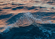 2024-10-02/1dfd24c7-eed4-4811-b6ad-51c603542168