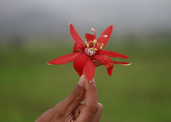 2024-10-03/4c8f3d03-c4c0-43c4-86bb-f7e8d8abd732