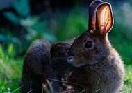 2024-10-03/69348ebf-b4e1-4279-9b9b-eaf1fa1fc088