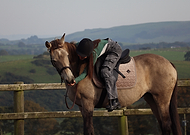 2024-10-04/817a9822-10ae-46ba-b519-3029d5eb0e54