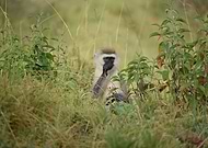 2024-10-06/a8b2beea-2691-4759-a61d-f25e896225c0