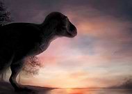 2024-10-07/68ea0a15-3662-4d1a-b94a-df46cf8c31c9