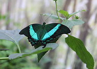 2024-10-07/b8f91137-1bfc-4bce-a403-db6d225e1ef3