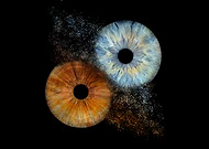 2024-10-09/54542dc3-fbdb-42f6-b8a3-030a4c7742a6