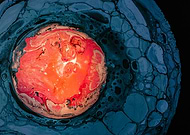 2024-10-09/704d35c1-0340-4b19-85ec-0a5a0498656a