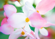 2024-10-09/7d98deb3-b488-416e-bf27-65bdb225a95f