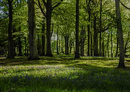 2024-10-09/ac214073-1908-4540-8c55-ba0f80566871