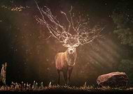 2024-10-13/948d265f-2332-4edc-9a4c-d3452d45a119