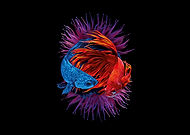 2024-10-13/bdd231e7-9222-4354-bb19-79b2ec8396b1