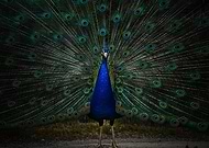 2024-10-13/c9421b6c-19ba-4c32-a8a7-dcd1a0ec8177